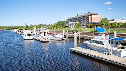 Constants Wharf Park Marina