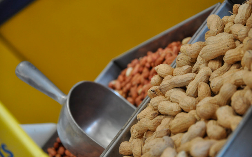Planter's Peanut Center
