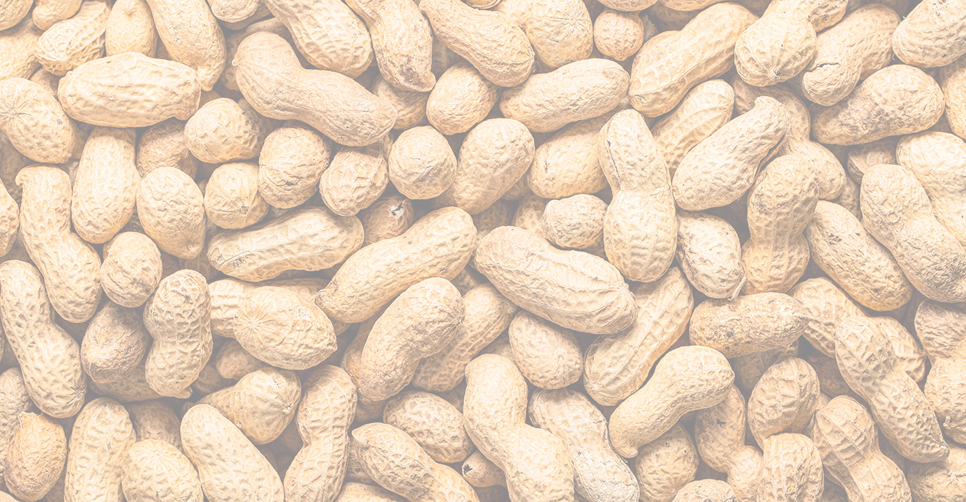 Peanut
