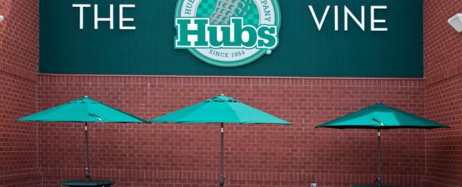 The Hubs Vine